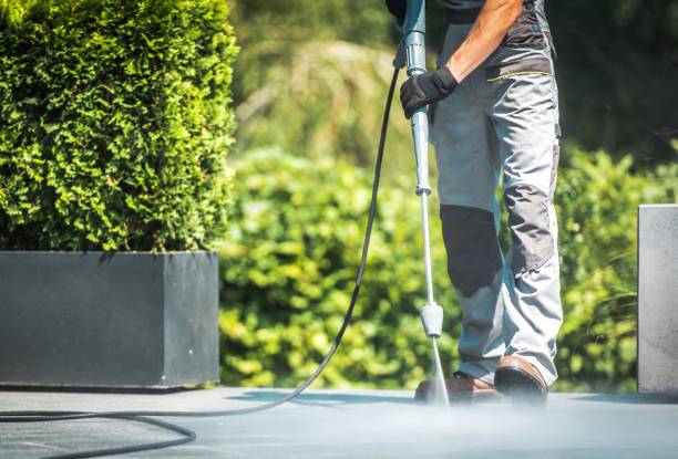 Best Roof Washing  in Point Lookout, NY