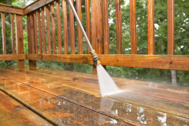 Best Animal Enclosure Cleaning  in Point Lookout, NY